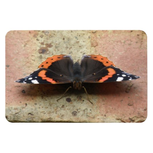 Red Admiral Butterfly Flexi Magnet Magneet (Horizontaal)