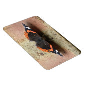 Red Admiral Butterfly Flexi Magnet Magneet (Rechterzijde)