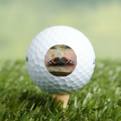 Red Admiral Butterfly Golf Ball Golfballen (Insitu Shirt)