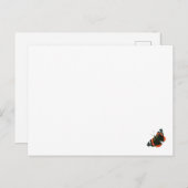 Red Admiral Butterfly Kaart (Voorkant / Achterkant)