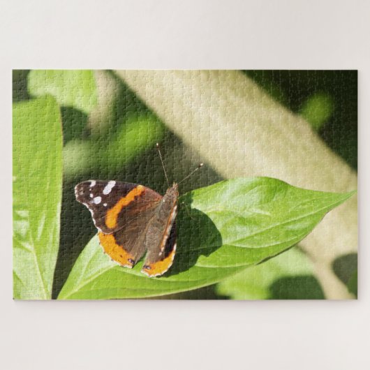 Red Admiral Butterfly Legpuzzel (Horizontaal)