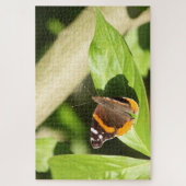 Red Admiral Butterfly Legpuzzel (Verticaal)