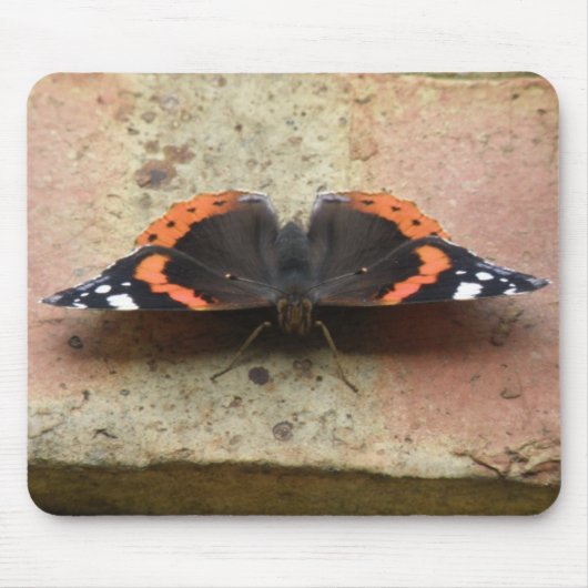Red Admiral Butterfly Mousepad Muismat (Voorkant)