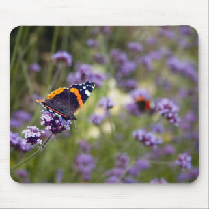 Red Admiral Butterfly Muismat