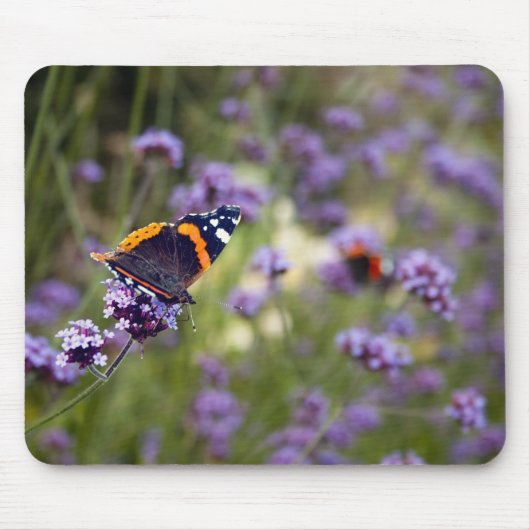 Red Admiral Butterfly Muismat (Voorkant)