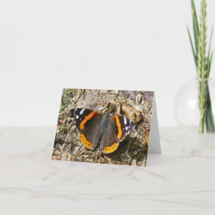 Red Admiral Butterfly Note Kaart