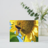 Red Admiral Butterfly op een zonnebloem Briefkaart (Staand voorkant)