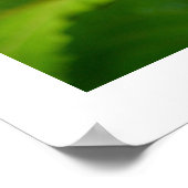 Red Admiral Butterfly op een zonnebloem Poster (Hoek)