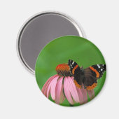Red Admiral Butterfly op Paarse kegelbloem Magneet (Voorkant / Achterkant)