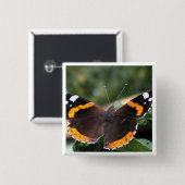 Red Admiral Butterfly Pin Vierkante Button 5,1 Cm (Voorkant /achterkant)