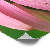 Red Admiral Butterfly Poster (Hoek)