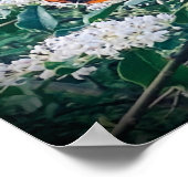 Red Admiral Butterfly Poster (Hoek)