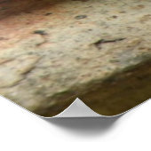 Red Admiral Butterfly Print (Hoek)