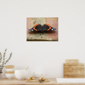 Red Admiral Butterfly Print (Keuken)