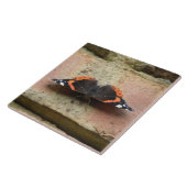 Red Admiral Butterfly Tegel Tegeltje (Zijkant)