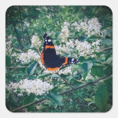 red admiral butterfly vierkante sticker (Voorkant)