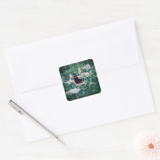 red admiral butterfly vierkante sticker