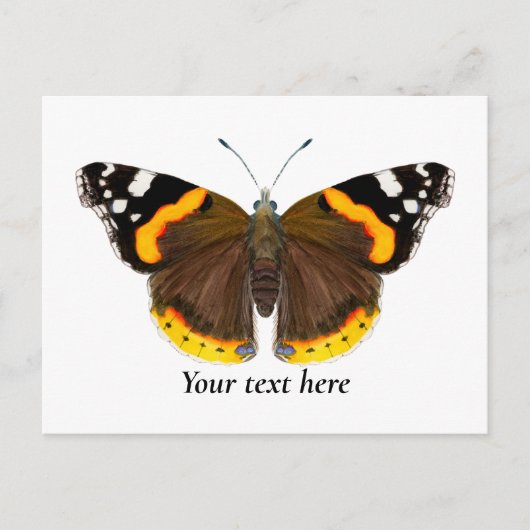 Red Admiral Butterfly Waterverf Art Briefkaart (Voorkant)