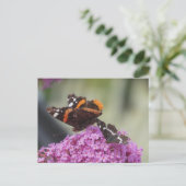Red Admiral en Map Butterfly DIY Briefkaart (Staand voorkant)