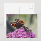 Red Admiral en Map Butterfly DIY Briefkaart (Voorkant / Achterkant)