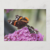 Red Admiral en Map Butterfly DIY Briefkaart (Voorkant)