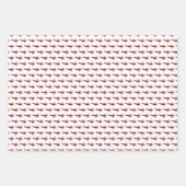 Red Airplanes Birthday Wrapping Paper Ze (Voorkant)
