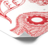 Red Alga Sea, Florideae Rotalgen by Ernst Haeckel Poster (Hoek)