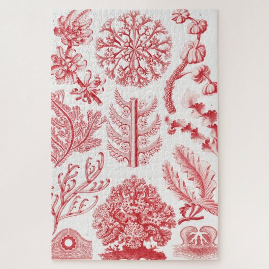 Red Alga Zee, Florideae Rotalgen door Ernst Haecke Legpuzzel (Verticaal)