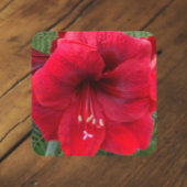 Red Amaryllis Bloom Floral Bier Onderzetter