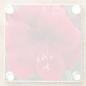 Red Amaryllis Bloom Floral Glazen Onderzetter (Achterkant)