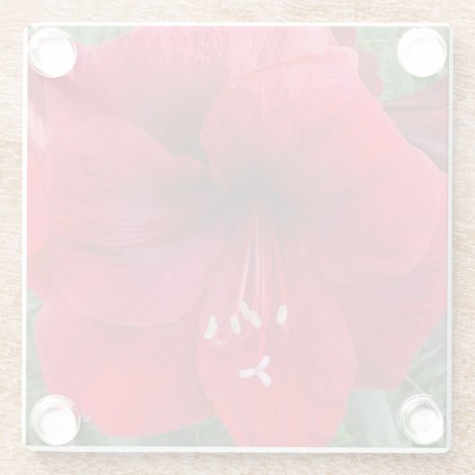 Red Amaryllis Bloom Floral Glazen Onderzetter (Achterkant)