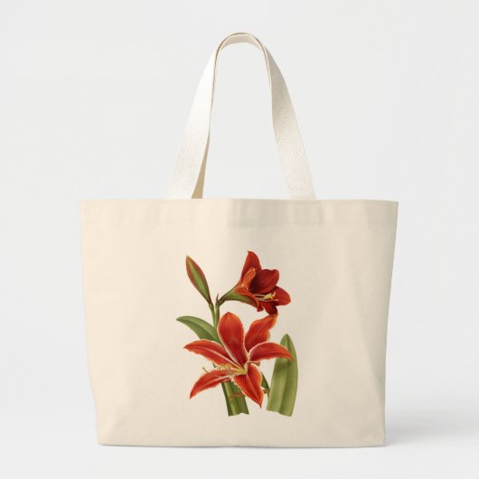 Red Amaryllis Botanical Print Grote Tote Bag (Voorkant)