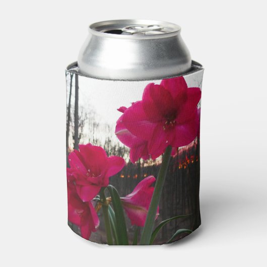 Red Amaryllis en Winter Sunrise Blikjeskoeler (Blikje Voorkant)