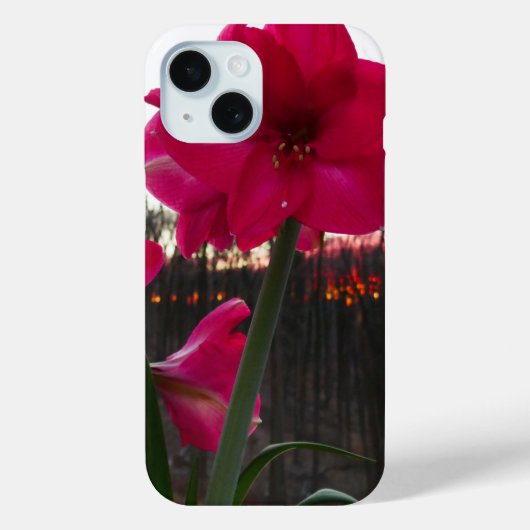 Red Amaryllis en Winter Sunrise Case-Mate iPhone Case (Achterkant)