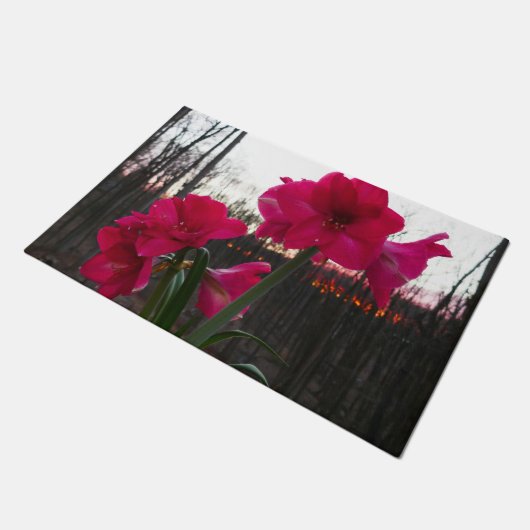 Red Amaryllis en Winter Sunrise Deurmat (Schuin)