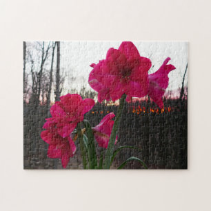 Red Amaryllis en Winter Sunrise Legpuzzel