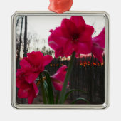 Red Amaryllis en Winter Sunrise Metalen Ornament (Voorkant)