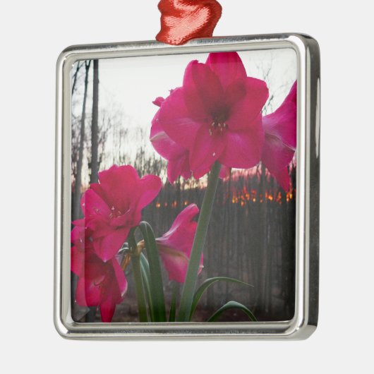 Red Amaryllis en Winter Sunrise Metalen Ornament (Links)