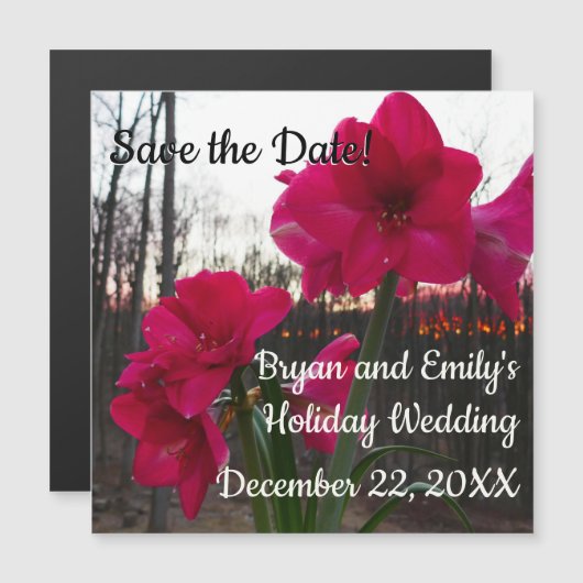 Red Amaryllis en Winter Sunrise Save the Date (Voorkant / Achterkant)