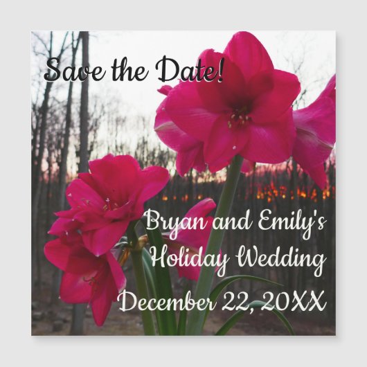 Red Amaryllis en Winter Sunrise Save the Date (Voorkant)