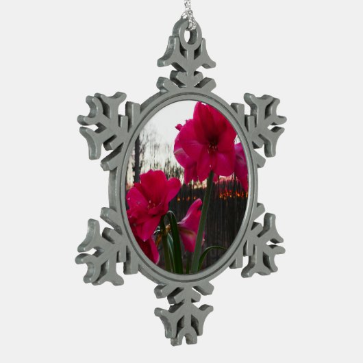 Red Amaryllis en Winter Sunrise Tin Sneeuwvlok Ornament (Links)