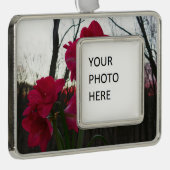 Red Amaryllis en Winter Sunrise Verzilverd Omlijst Ornament (Rechts)