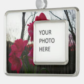 Red Amaryllis en Winter Sunrise Verzilverd Omlijst Ornament (Links)