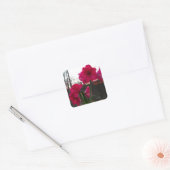 Red Amaryllis en Winter Sunrise Vierkante Sticker (Envelop)