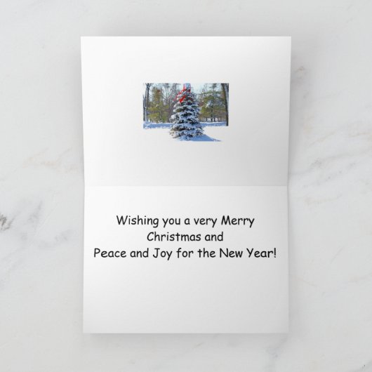 Red Amaryllis Feestdagen Kaart (Binnen)