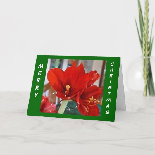 Red Amaryllis Feestdagen Kaart (Voorkant)