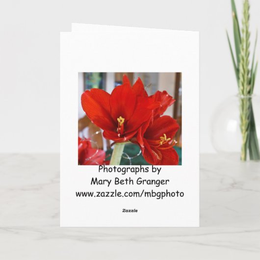 Red Amaryllis Feestdagen Kaart (Achterkant)