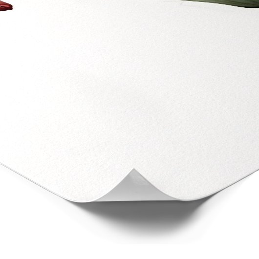 Red Amaryllis Flower Art Print Poster (Hoek)