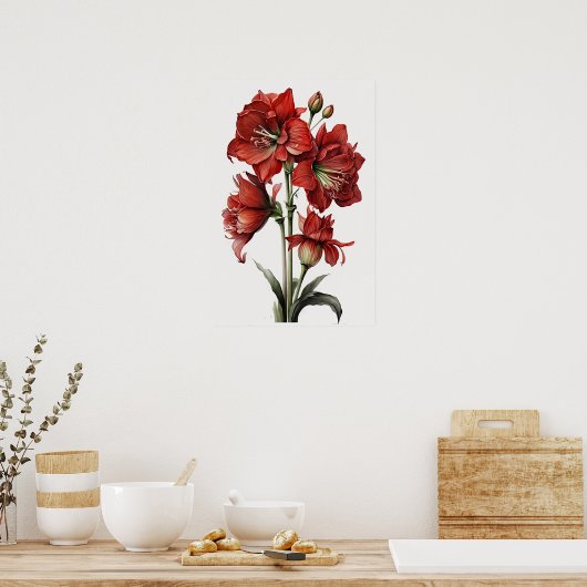 Red Amaryllis Flower Art Print Poster (Keuken)