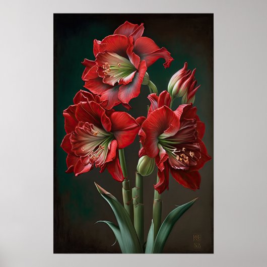 Red Amaryllis Flower Art Print Poster (Voorkant)